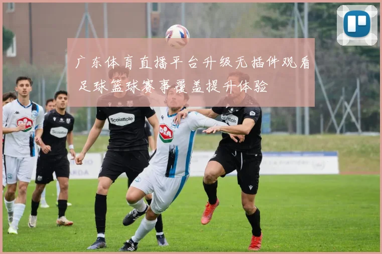 广东体育直播平台升级无插件观看 足球篮球赛事覆盖提升体验