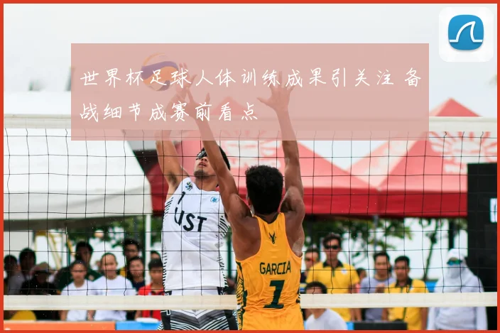 世界杯足球人体训练成果引关注 备战细节成赛前看点