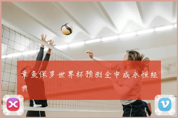 章鱼保罗世界杯预测全中成永恒经典