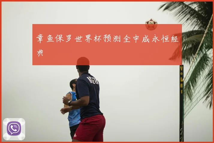 章鱼保罗世界杯预测全中成永恒经典