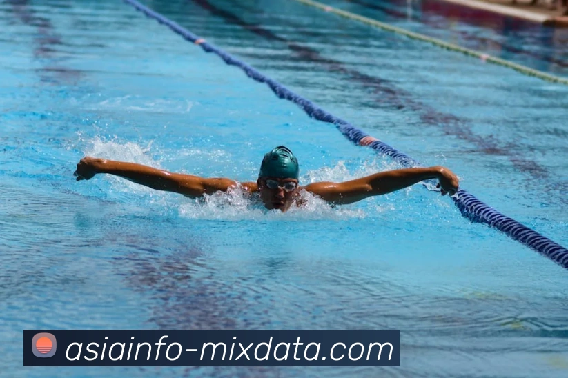 App Interface Preview